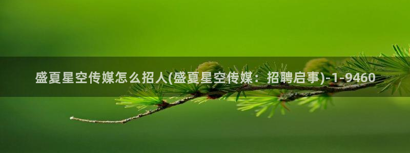 郑益星空传媒：盛夏星空传媒怎么招人(盛夏星空传媒：招聘启事)