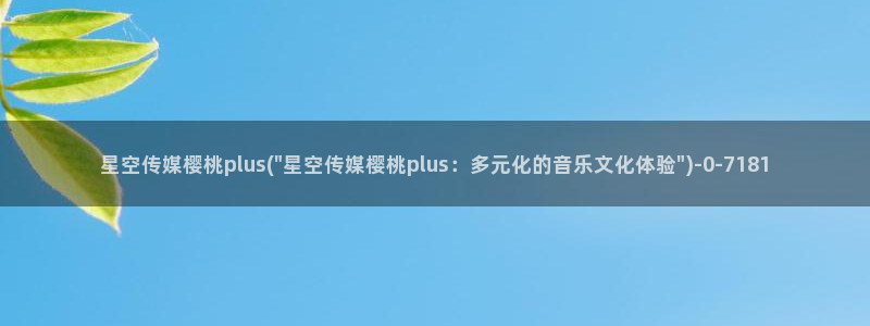 星空传媒晶晶：星空传媒樱桃plus(\