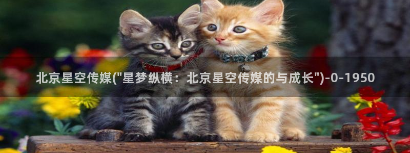 星空传媒王娜娜：北京星空传媒(\